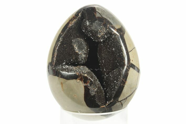 Septarian Dragon Egg Geode - Black Crystals #234988